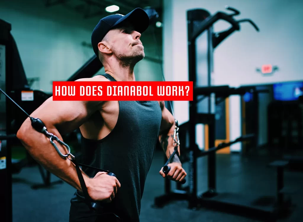 How does Dianabol work