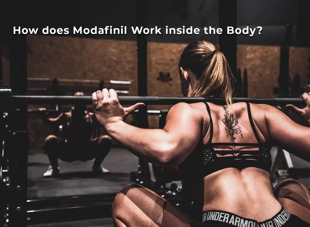 How does Modafinil work