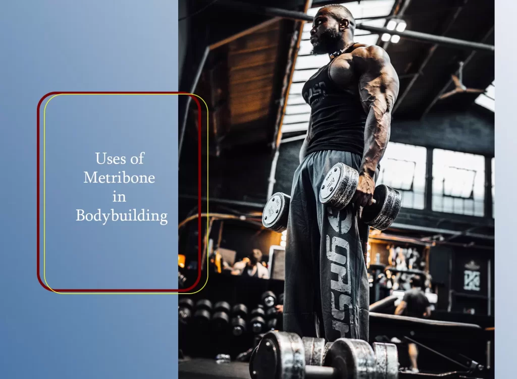 Metribone in bodybuilding