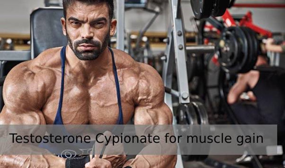 5 Brilliant Ways To Use Muscle Building Results with Testosterone Cypionate