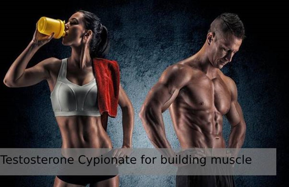 Benefits of Testosterone Cypionate for building muscle mass