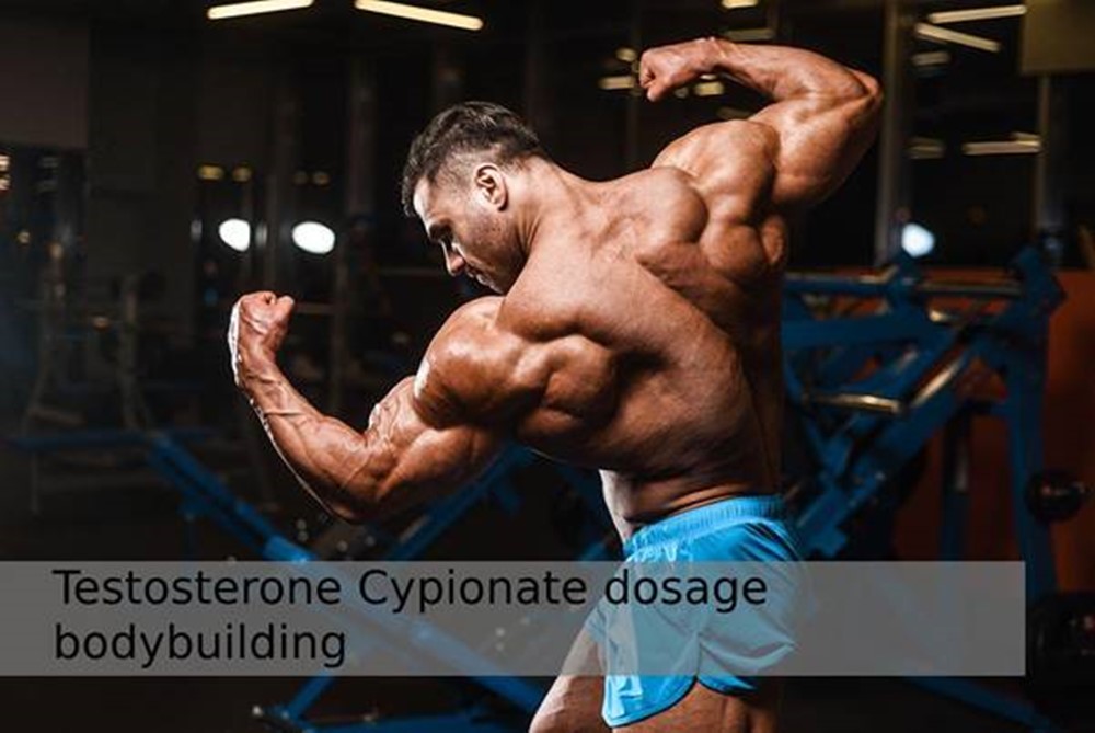 Dosage of injectable steroid Testosterone Cypionate in bodybuilding