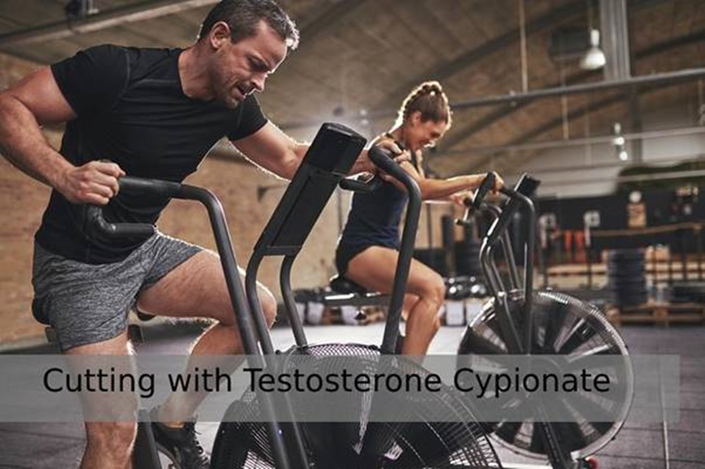 Consider the Testosterone Cypionate cycle for cutting