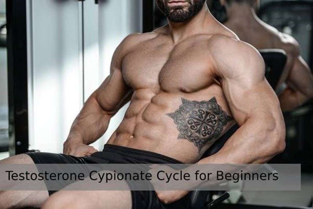 Which Testosterone Cypionate Cycle for Beginners to follow