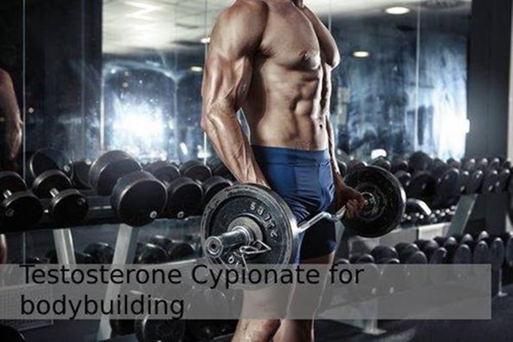Popularity of Testosterone Cypionate for Bodybuilding
