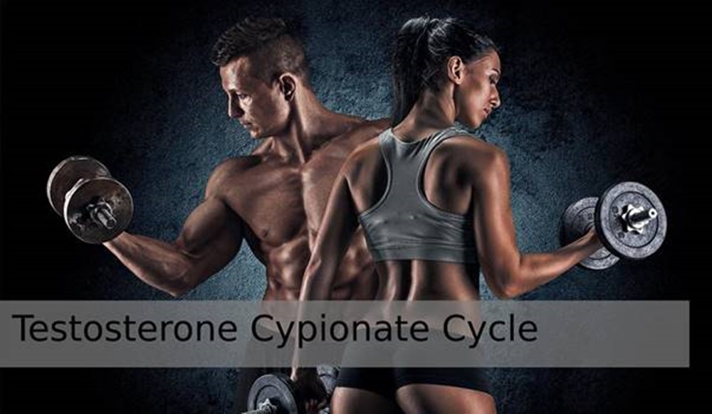 The Most Optimal Testosterone Cypionate Cycle